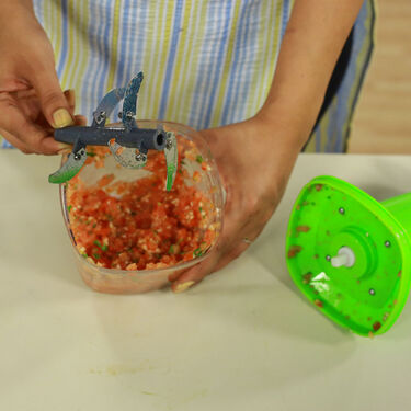 10 Seconds Onion & Vegetable Push Chopper (PC4) - Testy