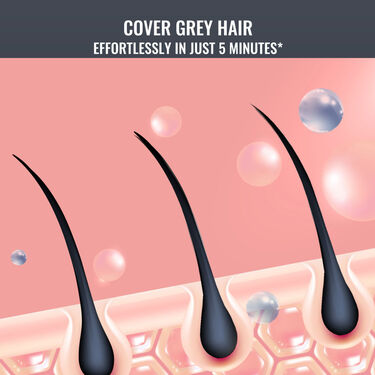 No Stain No Grey Hair Colour Shampoo With Serum - For Salon (KHCSS)